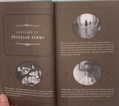 Miss Peregrine’s Home for Peculiar Children by Ransom Riggs, PB&HC Book 1-4 B157