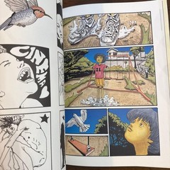 Taiyo Matsumoto 100 Art Book Illustration Japan