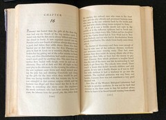 John Steinbeck Cannery Row 1945 2nd Viking Press HC w/ Dust Jacket