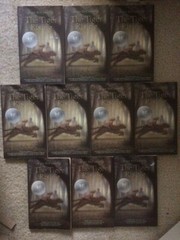 The Tiger Rising by Kate DiCamillo Class Set of 10 PB Guided Reading Lot