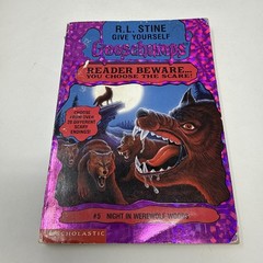 Lot of 12 VTG Goosebumps Scholastic Books 1990’s Paperbacks R L Stine Modern