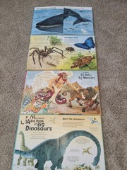 Lot of 4 Usborne Big Book of Animals,Dinosaurs BUGS, And Monsters
