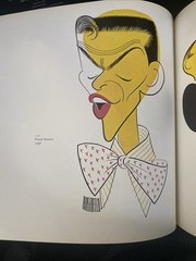 The World of Hirschfeld by Al Hirschfeld 1970 1st Edition Hardcover
