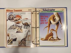 Dinosaur Cards By Newfield Publication 1994. 3 Ring Binder and 83 Pages/Inserts