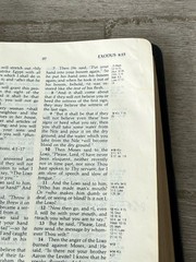 ✝️ The Ryrie Study Bible NASB New American Standard Genuine Leather Moody Press