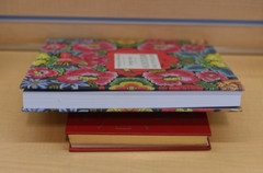 Revealing Mexico by John Mach Susanne Steines Hardcover: 296 pages  Coffee