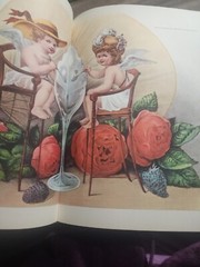 The Golden Book of America Deluxe Hardcover Dust Jacket First Edition