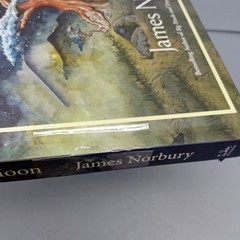 The Dog Who Followed the Moon: 2024 William Morrow Hardcover by James Norbury
