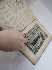 Rare Antique 1889: The Daisy Chain, R Worthington New York, Illustrated *Read
