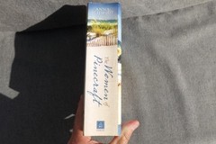The Women of Pinecraft BOOK 3 Florida Mennonite Romances Anna Schmidt 960 Pages