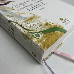 Living the Word Catholic Women’s Study Bible RSV2CE:Full-Color Single Column HC