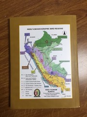 WHERE TO WATCH BIRDS IN PERU by Thomas Valqui