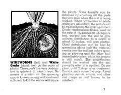 1944 Victory Garden Insect Guide