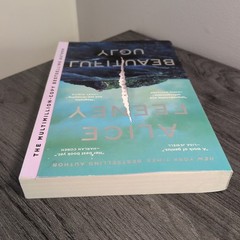 Beautiful Ugly a novel by Alice Feeney Paperback Dark Thriller
