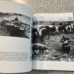 James Dean Revisited Hardcover, by Dennis Stock- good w/DJ 1978 The Viking Press