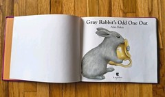 ’Gray Rabbit’s Odd One Out’ Hardcover by Alan Baker