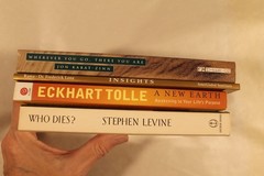 Wherever You Go There You Are, A New Earth, Who Dies? & Insights (4 Books)