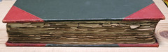 The Insect Book by Leland O. Howard, Ph.D. HC 1903 Red Leather/Green Cloth