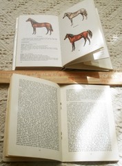 2 BOOKS LOT ANIMALS IN THE SPIRIT WORLD AND GUIDE TO THE HORSES OF THE WORLD