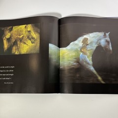 Stallion of a Dream, Robert Vavra, Collins, Hardcover, 1st Edt 1980