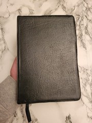 Vintage Holman Holy Bible Black French Morocco Leather Gold Red Letter Regal