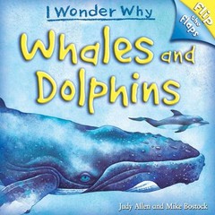 Flip The Flaps: Whales and Dolphins: Whales and Dolphins By Alle