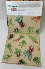 SIGNED Tops & Bottoms Adapted & Illustrated Janet Stevens 1995 HC/DJ Caldecott