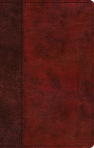 ESV Large Print Thinline Bible (Trutone, Burgundy/Red, Timeless Design): New