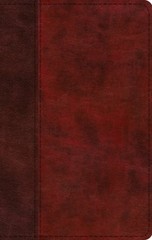 ESV Large Print Thinline Bible (Trutone, Burgundy/Red, Timeless Design): New