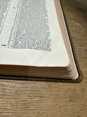 Youngs: Analytical concordance to the Bible 1965 8th Ed- Bonded Premium Leather