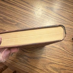 1888 Life of Pope Leo XIII Golden Jubilee Edition Illustrated Catholic Antique