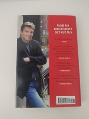 15 Seconds by Andrew Gross (2012, HC/DJ)